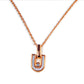 The Orbit Lock Necklace-Rose Gold